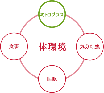 コンディション、つまり体環境